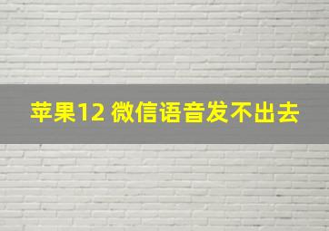 苹果12 微信语音发不出去